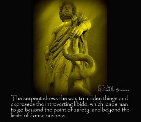 Uncovering the Jungian Interpretation of Serpent Visions