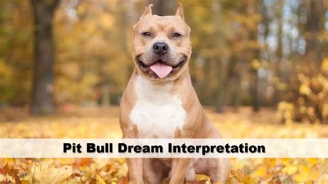 Uncovering the Loyalty and Fidelity Symbolism of Pitbull Dreams