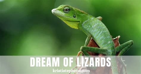 Uncovering the Psychological Significances of Lizard Dreams