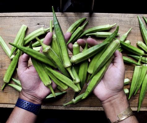 Uncovering the Roots: Exploring the Origins and Intriguing History of Okra