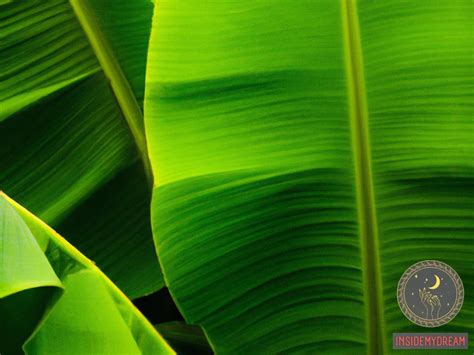 Uncovering the symbolism behind banana leaves: A glimpse into their cultural significance