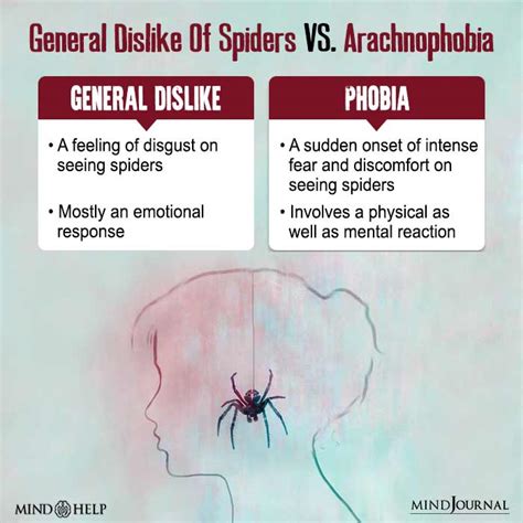 Understanding Arachnophobia: What is Arachnophobia and Why is it So Prevalent?