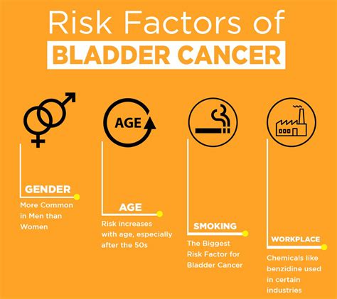 Understanding Bladder Cancer: Types and Risk Factors