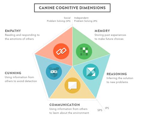 Understanding Canine Cognition and Learning