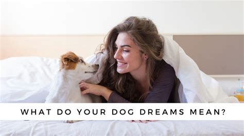 Understanding Canine Dreams: Are Dogs Capable of Dreaming Like Humans?