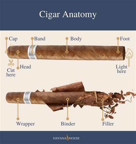 Understanding Cigar Types: Exploring the Spectrum of Flavors and Strengths