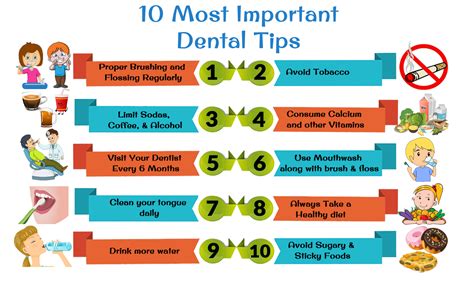 Understanding Dental Health: The Significance of Teeth