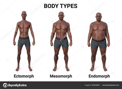 Understanding Different Body Types: Discover What Works Best for You