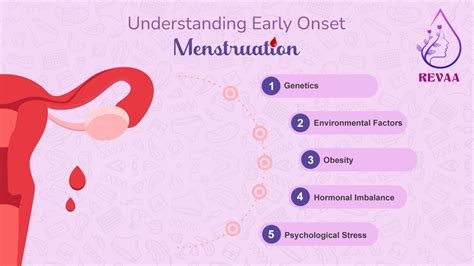 Understanding Dreams About the Onset of Menstruation within the Context of Hormonal Fluctuations