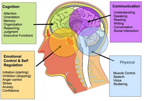 Understanding Dreams for Improved Communication with Individuals affected by Cognitive Impairment