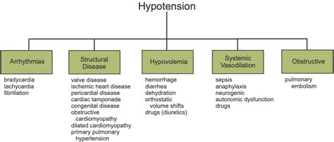 Understanding Hypotension: Types and Risk Factors