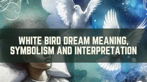 Understanding Personal Context: White Bird Dreams as Individual Messages