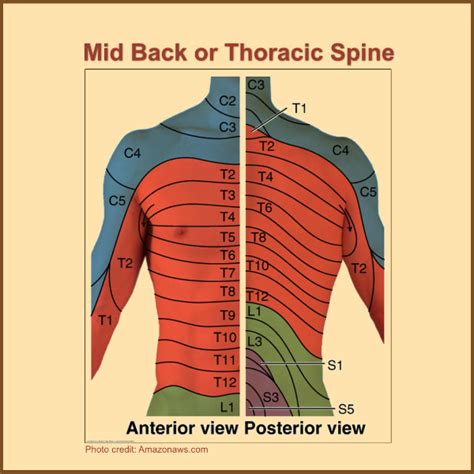 Understanding Sensations in the Thoracic Region of Dreams