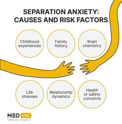 Understanding Separation Anxiety: Causes and Symptoms