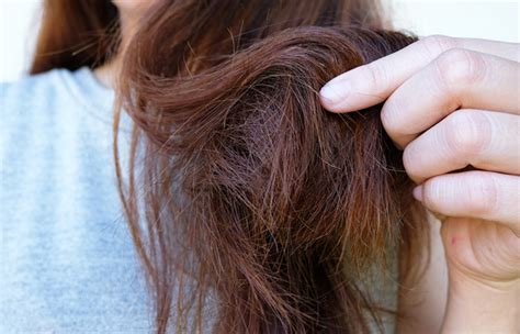 Understanding Split Ends: What Causes Them and How to Identify