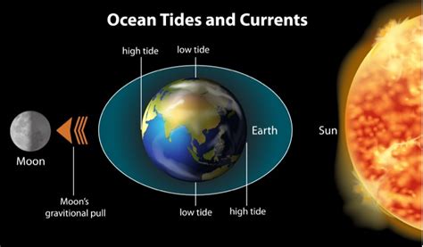 Understanding Weather Patterns and Tidal Movements for Successful Fishing