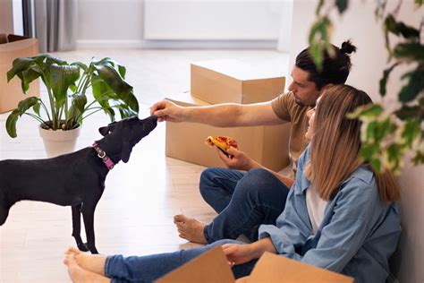 Understanding Your Relocation Requirements