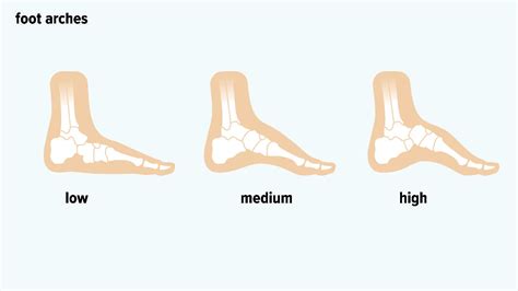 Understanding Your Unique Foot Shape and Size