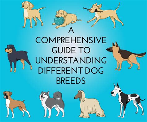 Understanding the Allure of Petite Canine Breeds