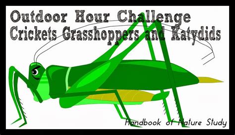 Understanding the Challenge Presented by Grasshoppers