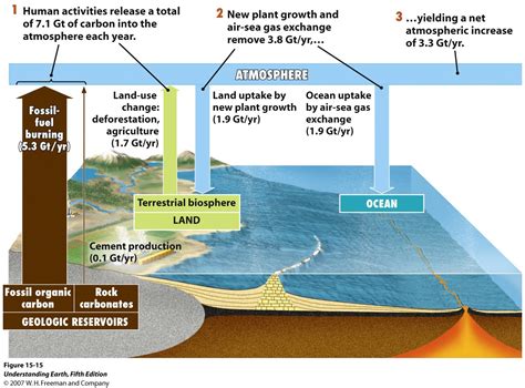 Understanding the Challenge of Algae Growth: Causes and Impact