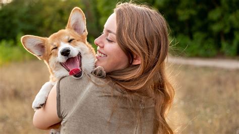 Understanding the Commitment and Responsibility of Dog Ownership