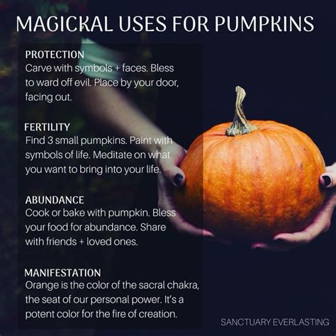 Understanding the Cultural Symbolism: Pumpkin as a Signifier of Harvest and Abundance