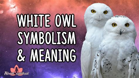 Understanding the Deeper Significance: The White Owl as a Spiritual Guide in the Realm of Dreams