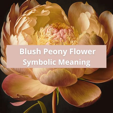 Understanding the Deeper Symbolic Significance of the Ethereal Blush Heart