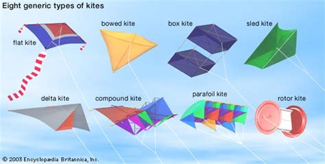 Understanding the Different Types of Kites