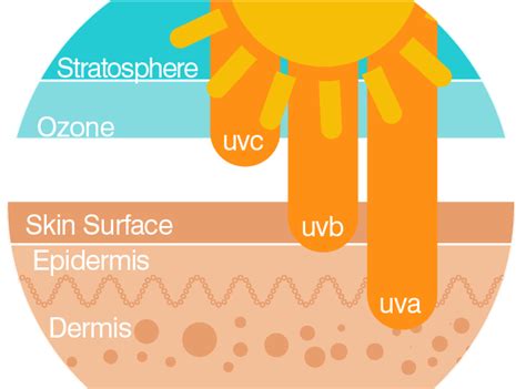 Understanding the Different Types of Sun Exposure