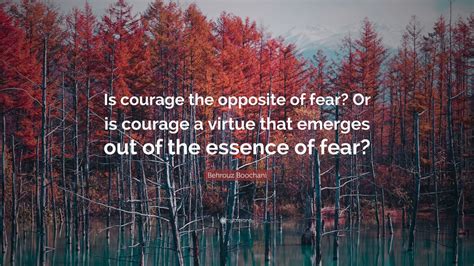 Understanding the Essence of Fear