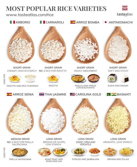 Understanding the Fundamentals: Exploring Different Rice Varieties and Cooking Techniques