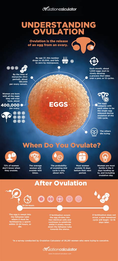 Understanding the Fundamentals of Fertility