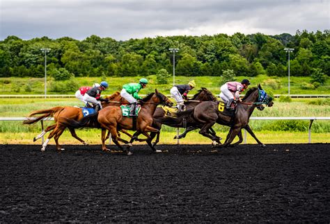 Understanding the Fundamentals of Horse Wagering