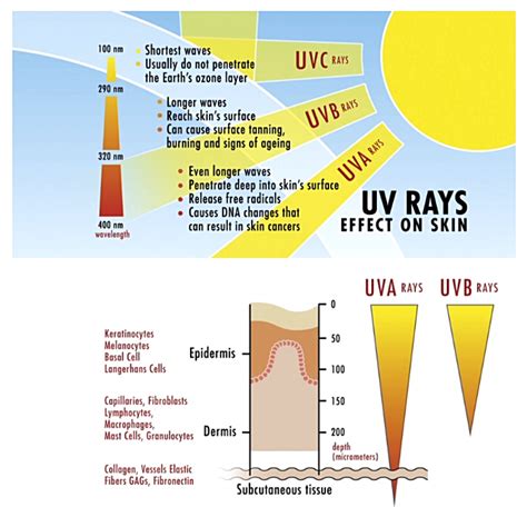 Understanding the Fundamentals of Sun Exposure