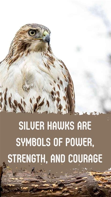 Understanding the Hawk's Symbolism of Strength and Courage