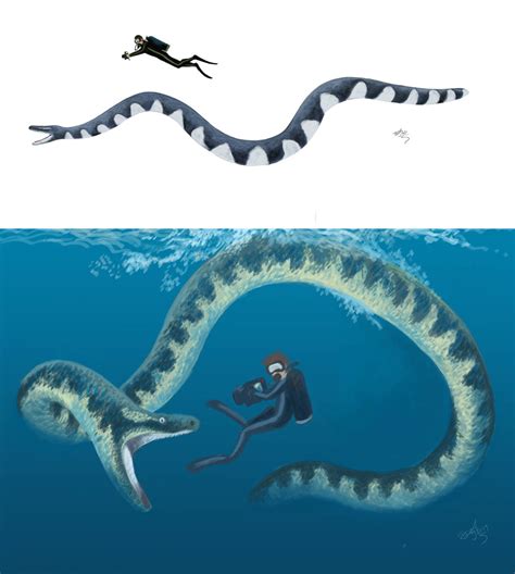 Understanding the Immense Scale of the Aquatic Serpent