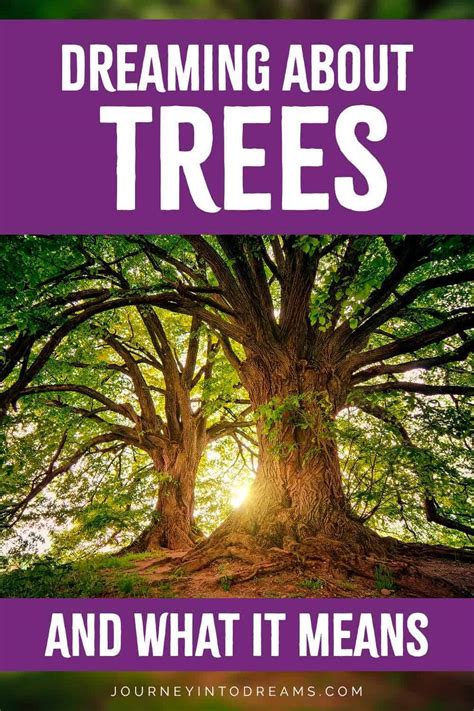 Understanding the Importance of Trees in Dream Analysis