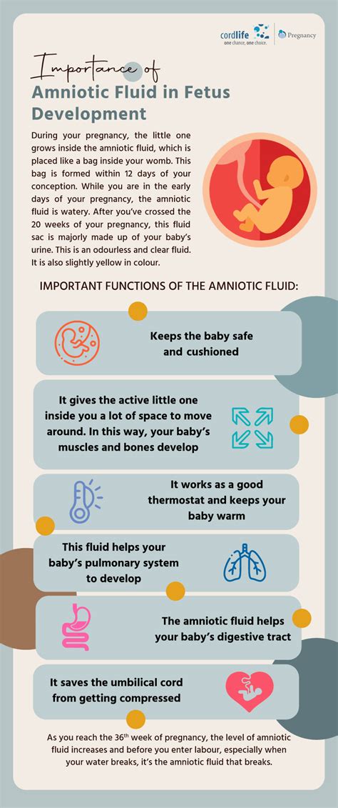 Understanding the Importance of Your Amniotic Fluid Release