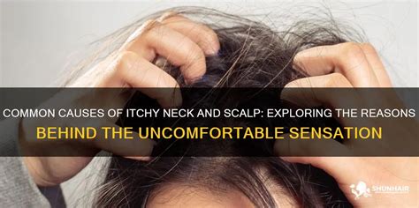 Understanding the Itch: What Triggers an Uncomfortable Sensation on the Scalp?