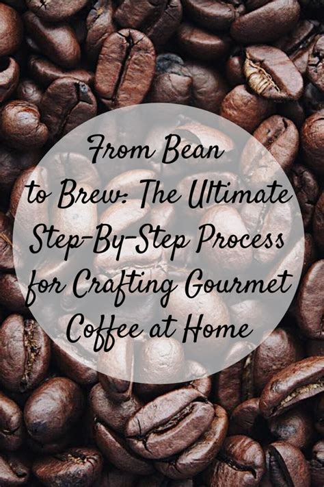 Understanding the Journey from Bean to Brew