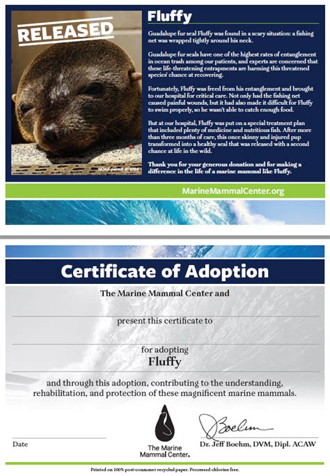 Understanding the Legalities and Regulations of Adopting a Marine Mammal Companion