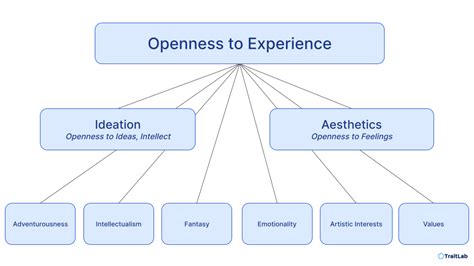 Understanding the Many Facets of Dream Experiences