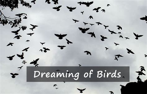 Understanding the Meaning of Dreaming about Pursuing a Nocturnal Bird