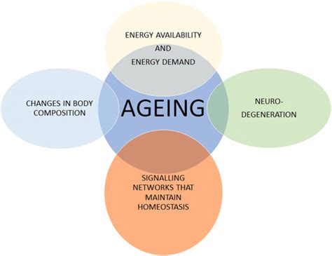 Understanding the Natural Process of Aging