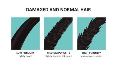 Understanding the Origins of Hair Damage