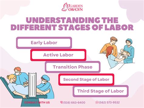 Understanding the Phases of Labor