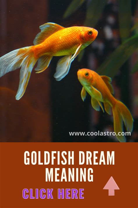 Understanding the Psychological Interpretation of Goldfish Dreams