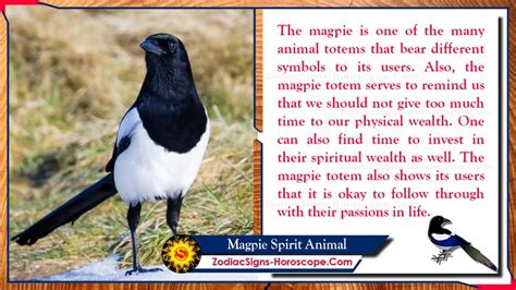 Understanding the Psychological Significance of Imagining Magpie Birds in Dreams